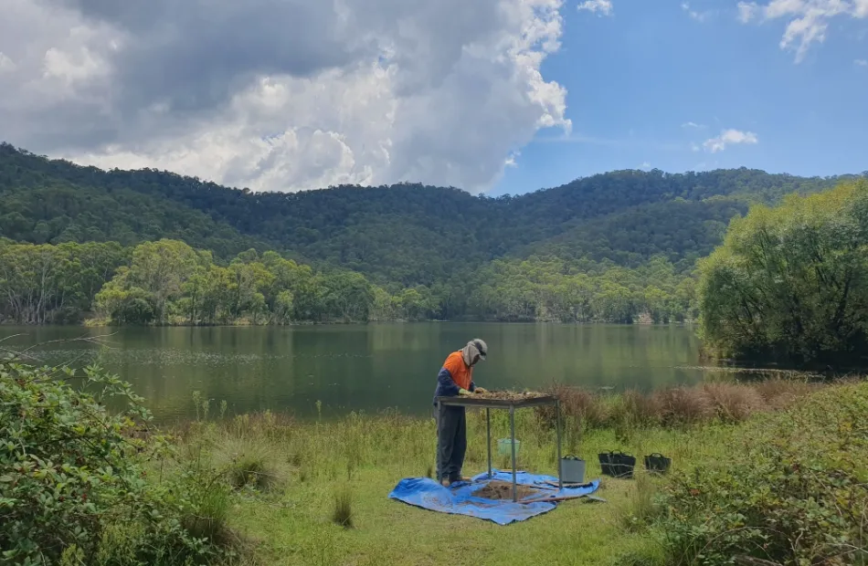 An ecologist during a field study for the project