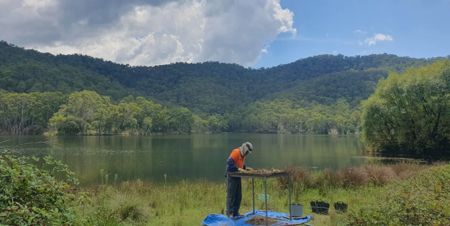 An ecologist during a field study for the project